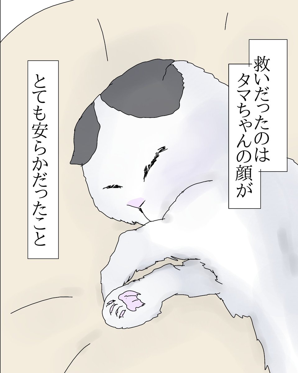 ajimaruzenzai's tweet photo. （2/3） https://t.co/g7YuSAGLyG