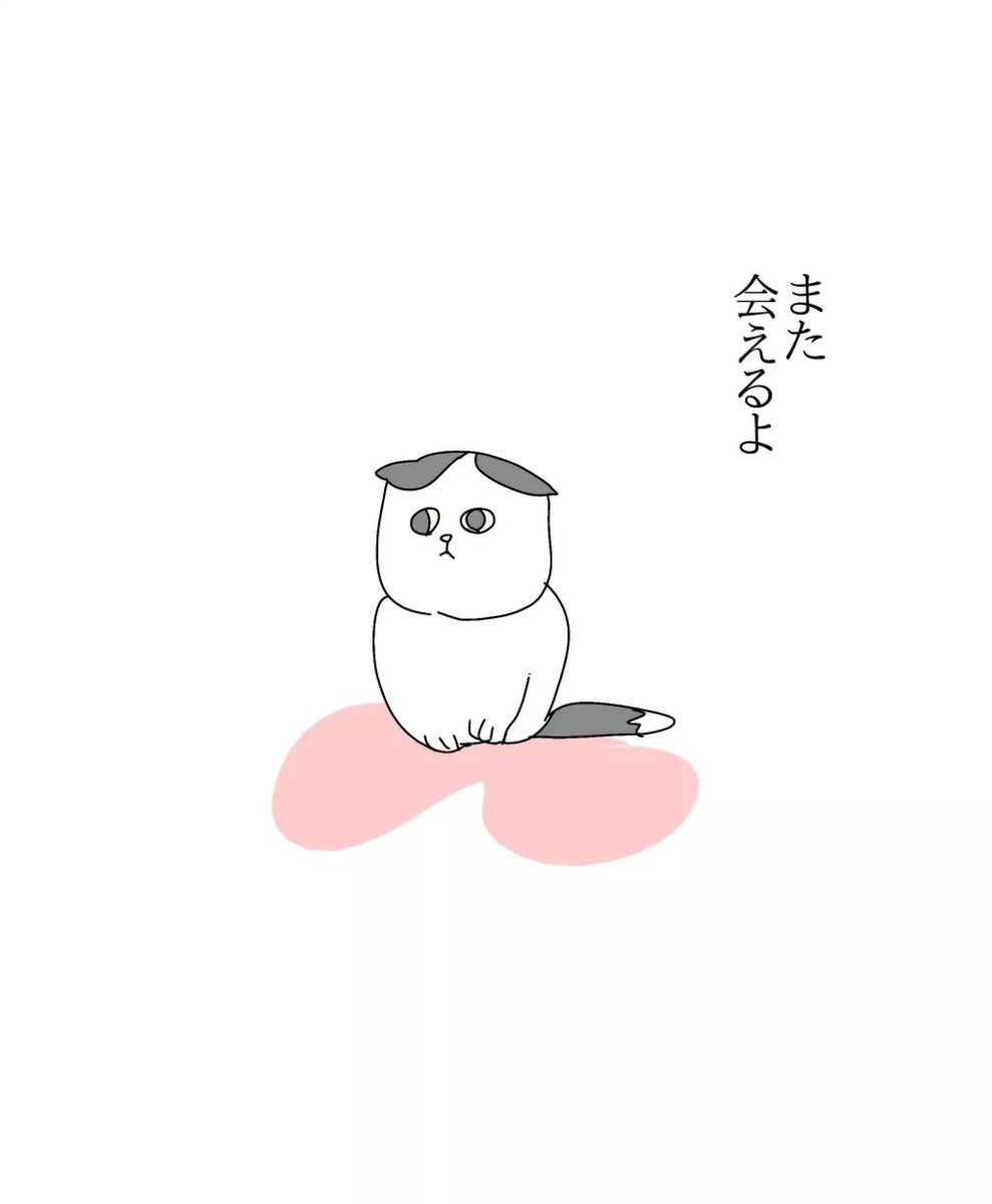 ajimaruzenzai's tweet photo. （3/3） https://t.co/aLibW1qyv9