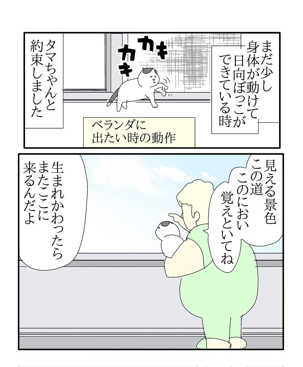 ajimaruzenzai's tweet photo. （3/3） https://t.co/aLibW1qyv9