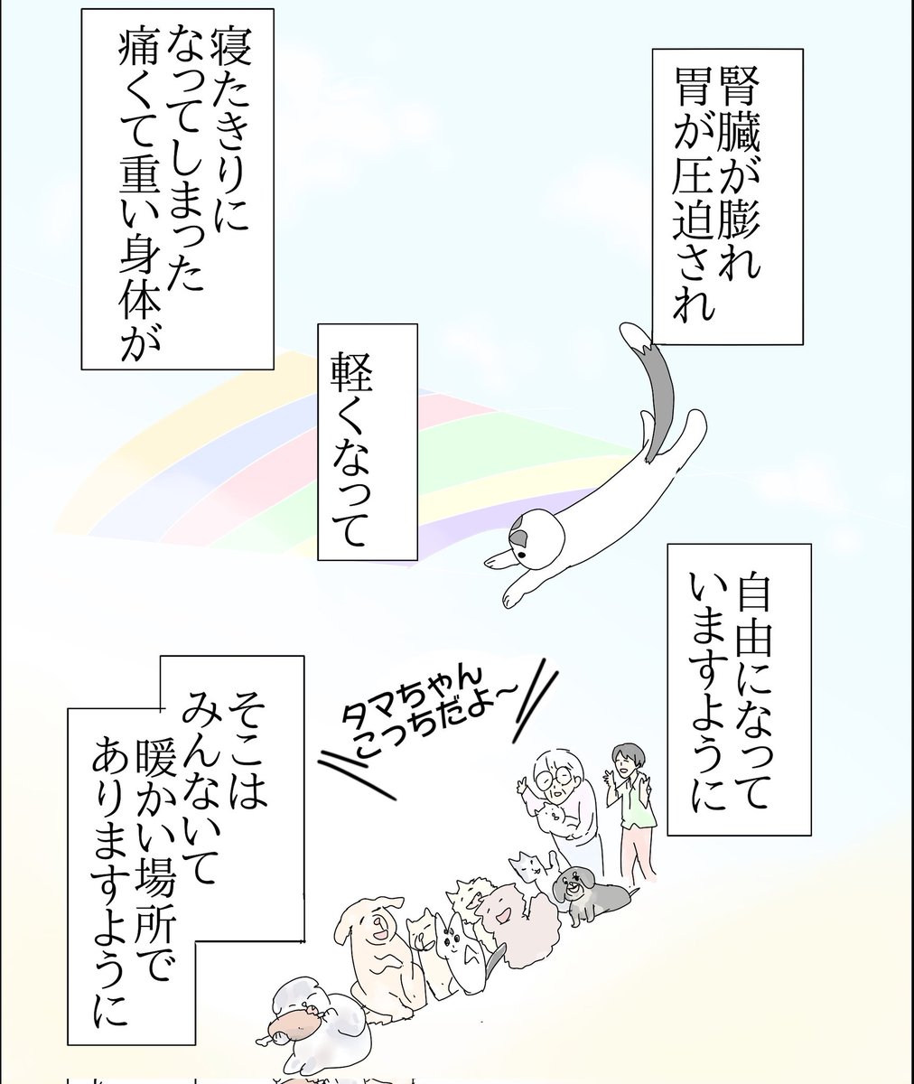 ajimaruzenzai's tweet photo. （2/3） https://t.co/g7YuSAGLyG