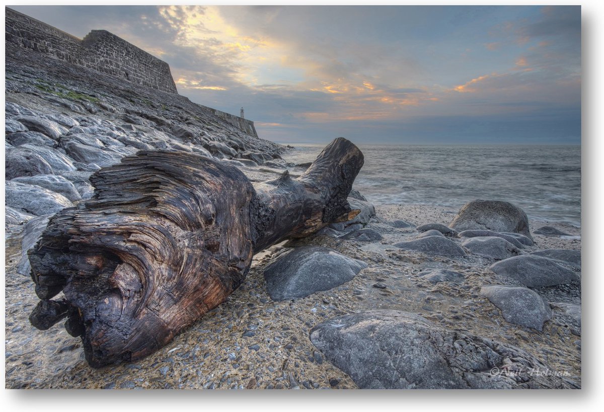 Neil Holman (@neilholman3) on Twitter photo Driftwood Sunrise at Porthcawl Pier <a href="/Ruth_ITV/">Ruth_TV</a> <a href="/DerekTheWeather/">Derek Brockway - weatherman</a> <a href="/S4C/">S4C 🏴</a> <a href="/WalesCoastPath/">Llwybr Arfordir Cymru / Wales Coast Path</a> <a href="/WalesCoastUK/">Wales Coast Path UK</a> <a href="/walkwalescoast/">Walk the Wales Coast</a> Driftwood Sunrise at Porthcawl Pier <a href="/Ruth_ITV/">Ruth_TV</a> <a href="/DerekTheWeather/">Derek Brockway - weatherman</a> <a href="/S4C/">S4C 🏴</a> <a href="/WalesCoastPath/">Llwybr Arfordir Cymru / Wales Coast Path</a> <a href="/WalesCoastUK/">Wales Coast Path UK</a> <a href="/walkwalescoast/">Walk the Wales Coast</a>