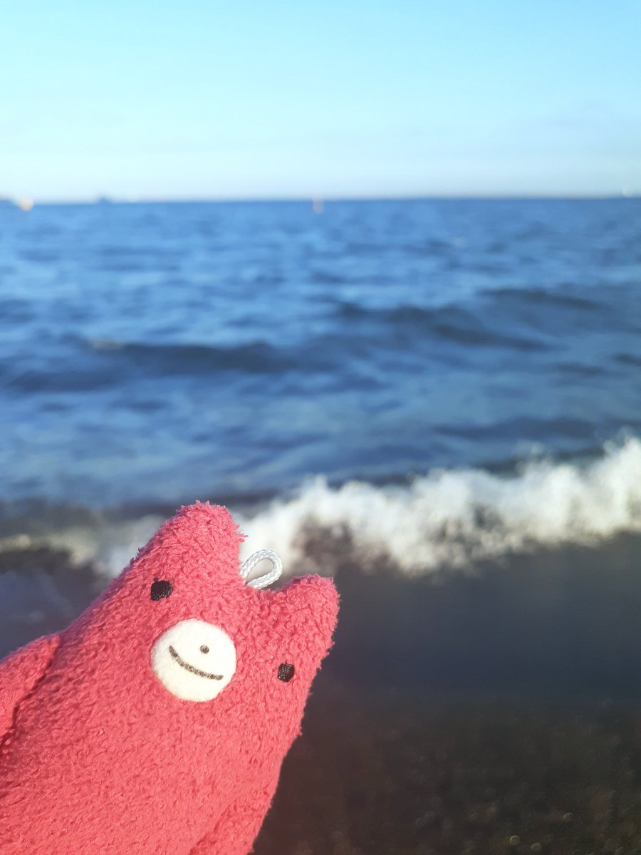 Uta5910's tweet photo. ざっばーん🌊🐻 https://t.co/rN8xP6UcNo