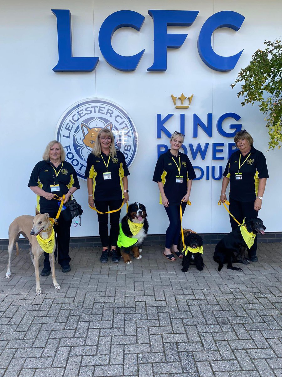 Therapy Dogs tweet media