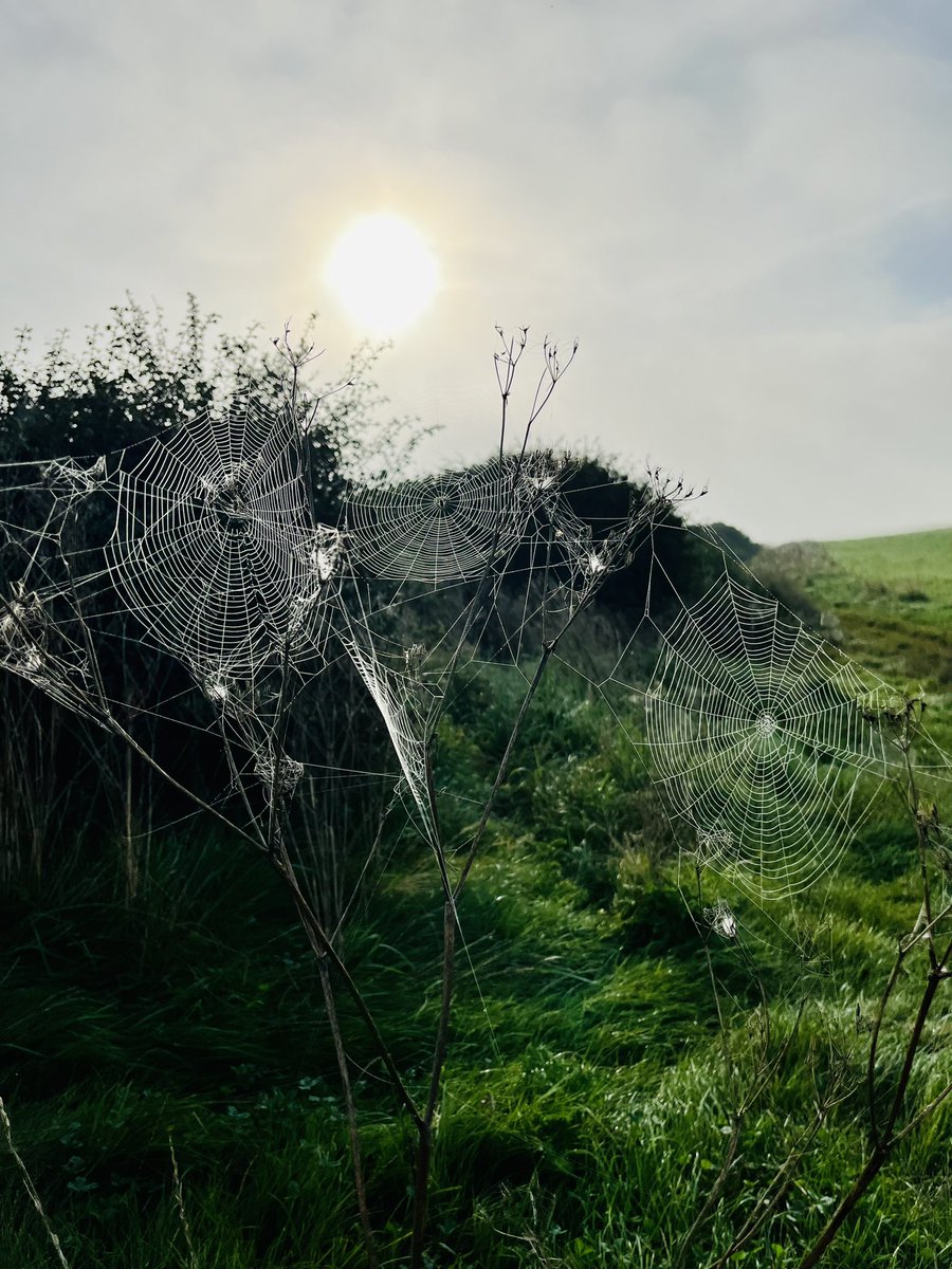 Smith_Jak tweet media