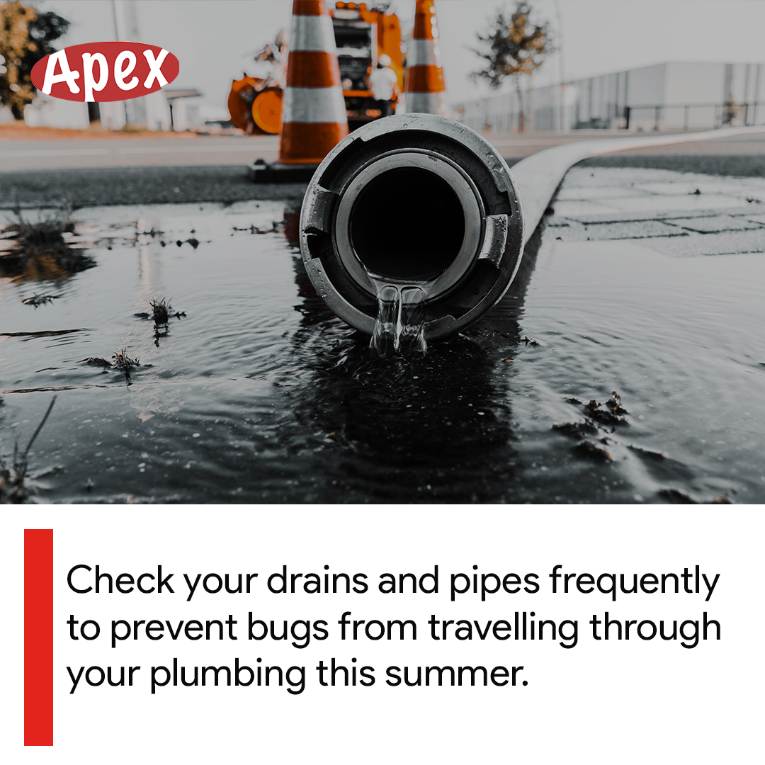 ApexTradeSolu's tweet image. Check your drains and pipes frequently to prevent bugs from travelling through your plumbing this summer.
DM us or call 0203 3765 844 for expert help.

#APEXTradeSolutions