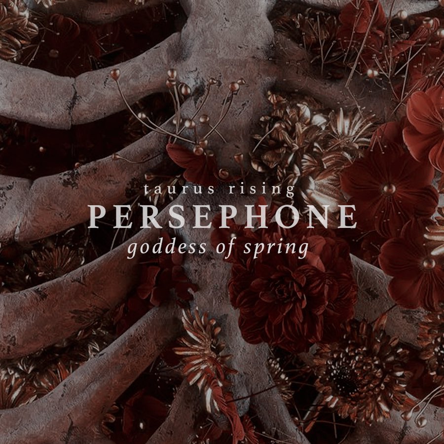 𝑠ℎ𝑒 𝑤𝑎𝑠 𝑎 𝑓𝑎𝑖𝑟𝑦 tweet media