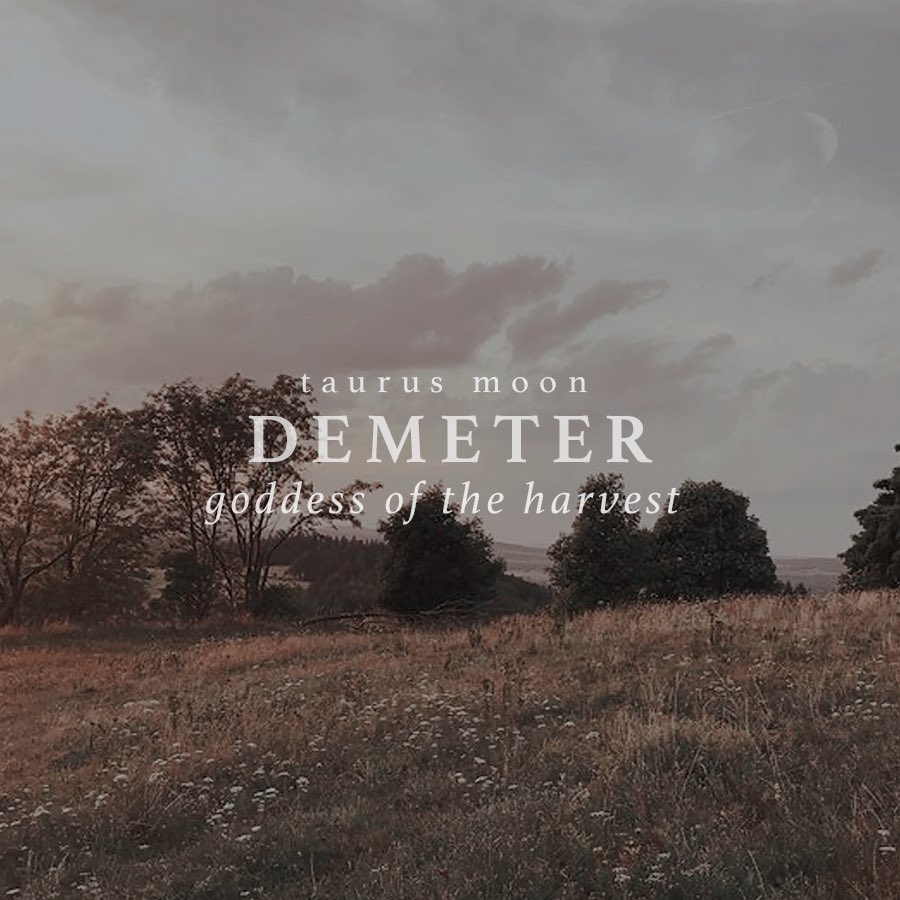 𝑠ℎ𝑒 𝑤𝑎𝑠 𝑎 𝑓𝑎𝑖𝑟𝑦 tweet media