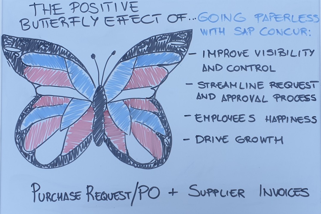 patrick van hecke tweet media