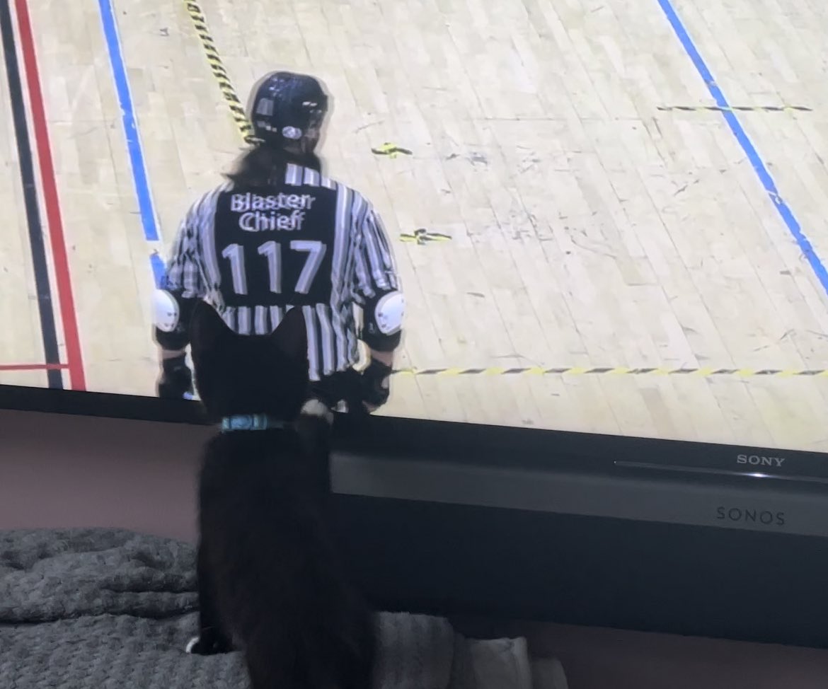SAHMlovingit's tweet photo. Dave (Gahan II) is watching and making ninja attacks at refs again today! #5NRD https://t.co/j9Ie3fIegz