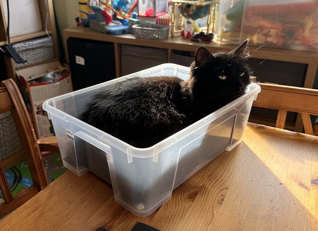 Meet my Sunday Organisation Box! 📦 As someone with <a href="/BDAdyslexia/">British Dyslexia Association</a> and suspected ADHD, staying organised can be a challenge. This box keeps life-min bits in check. Today, a friend's helping🐈‍⬛! Sunday = Sorted! 🙌 #WeekendGoals #SundayBox #organisation