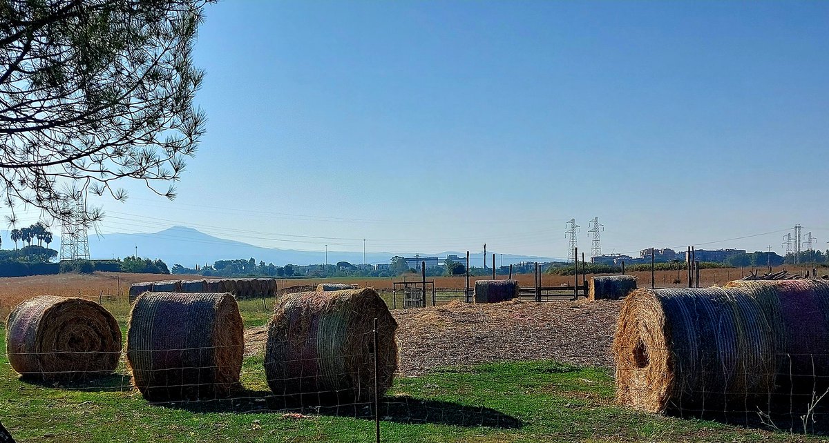 I Castelli Romani, oggi dal 
<a href="/parcoacquedotti/">Parco Acquedotti</a> <a href="/parcoappia/">Parco Appia Antica</a>