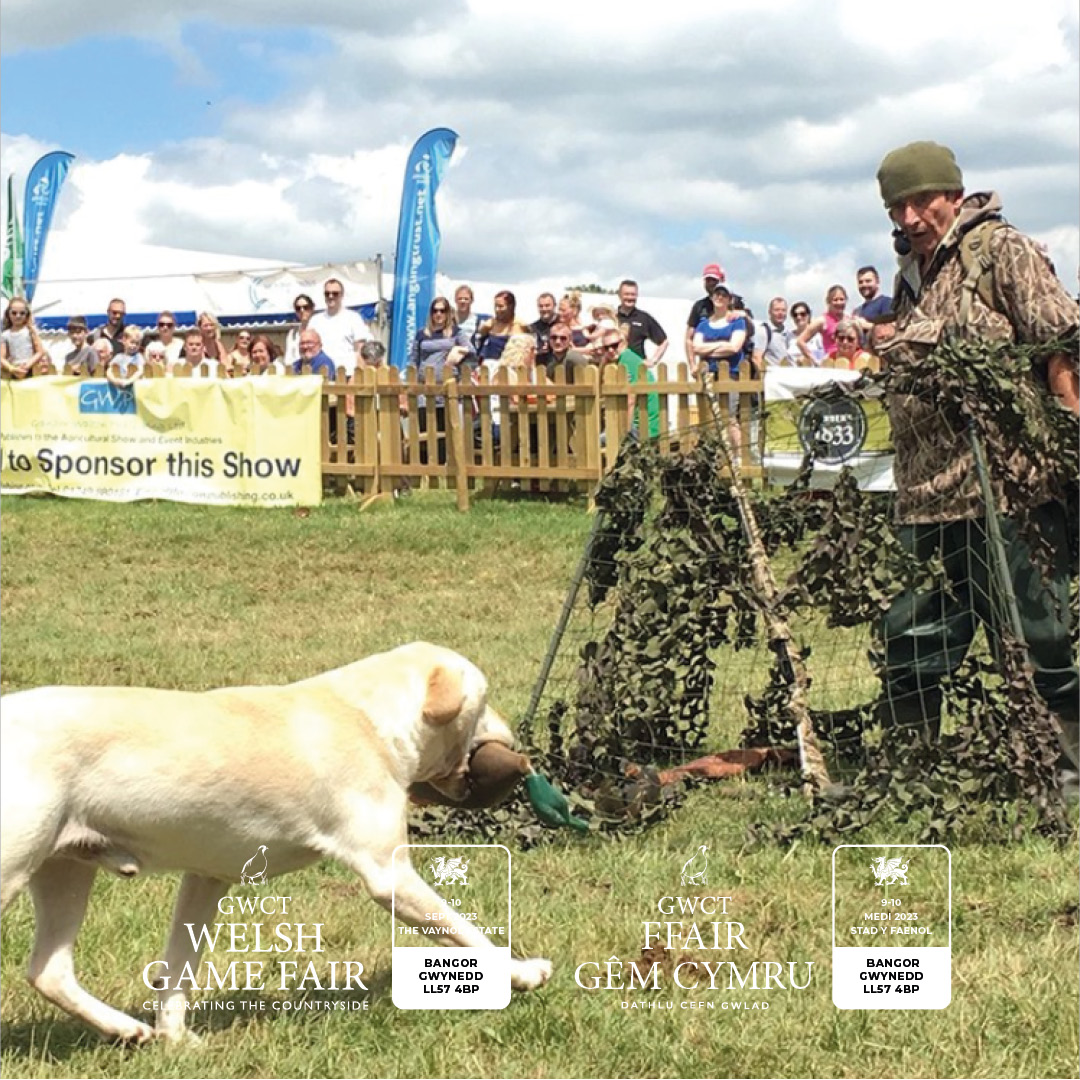 Wildfowling legend Chris Green is delivering dynamic, engaging 30-minute demos in the main arena today that will talk visitors through decoying, building a hide and using calls.