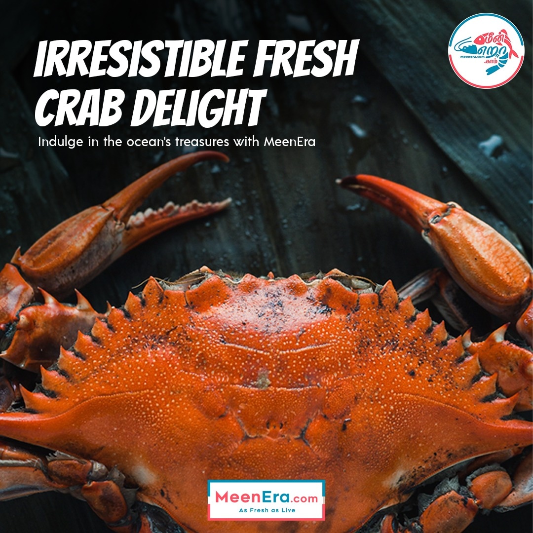 Indulge in the ocean's treasures with our irresistible Fresh Crab Delight!  Sourced straight from the depths of the sea, Meenera brings you the true taste of the ocean in every succulent bite. Don't just eat - savor the freshness with Meenera!  #MeeneraSeafoods  #TasteOfTheOcean