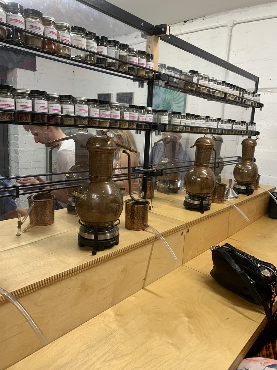 Anne Rolfe tweet media