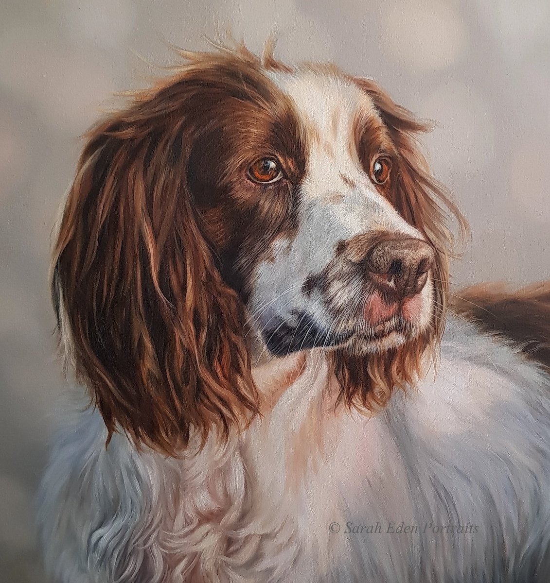 EdenPortraits's tweet photo. Little repost of Holly from back in the archives. Happy Sunday everyone 😊
Holly', oil on board, 12 x 14"
#springers #springerspaniel #springerspaniels #springers #ess #spaniel #springersofinstagram #spaniellove #springerspanielworld #art #art🎨 #oilportrait #oilpainting https://t.co/mk7Ps9MiBJ
