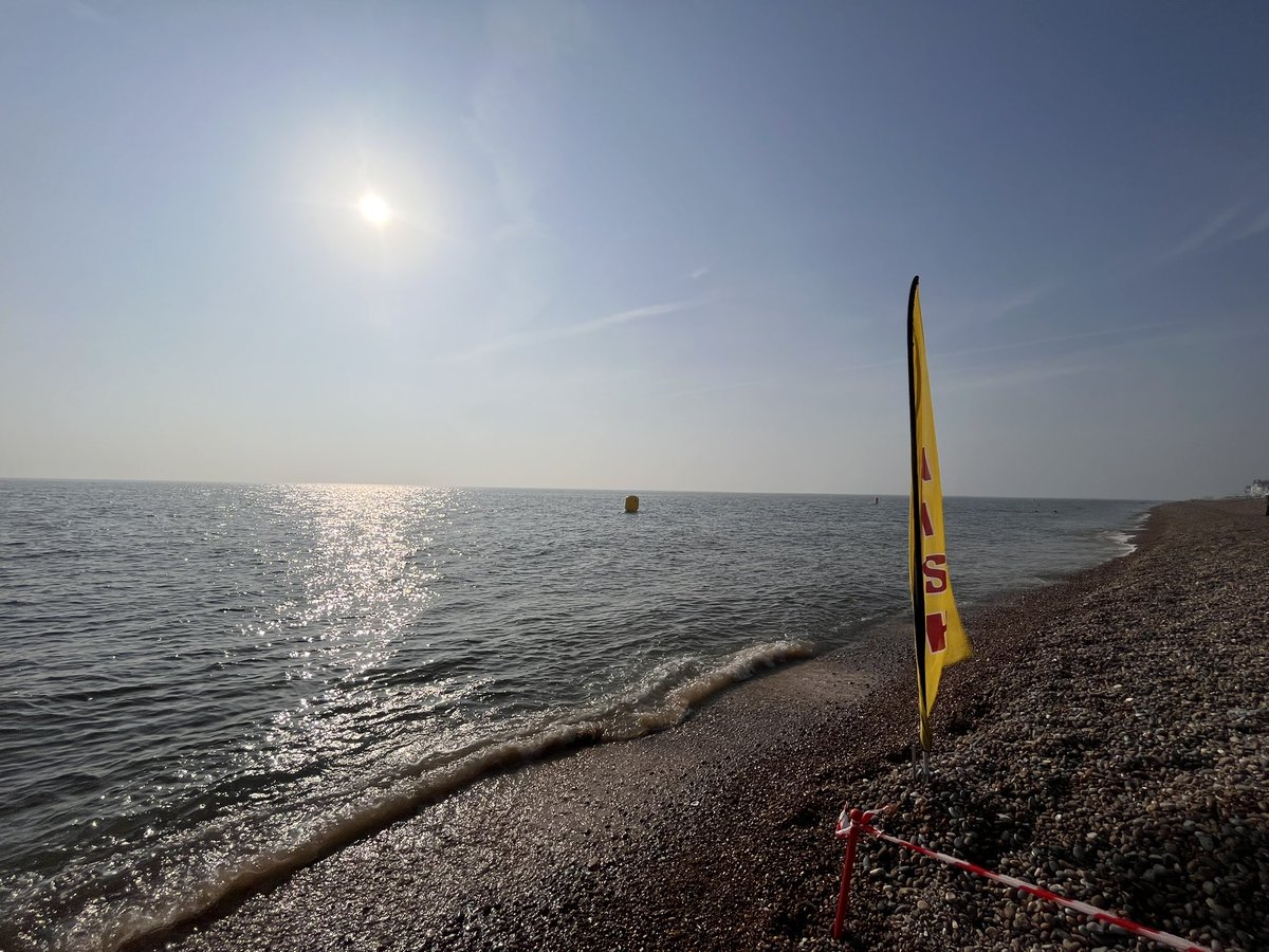 Swimscaper tweet media