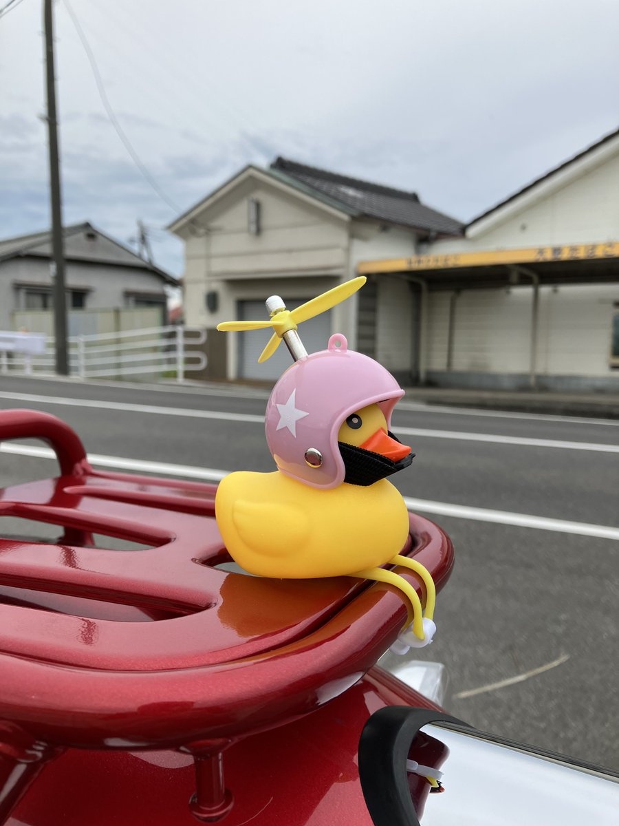 れもんパンダ🐼💛 (@lemon_rail) / Posts / X