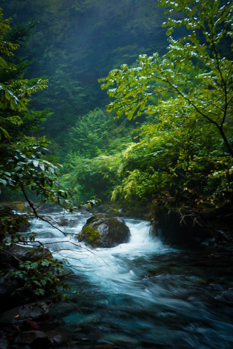 栃木県塩谷町尚仁沢湧水

#風景写真
＃山ビルと戦う
#自然美
#SONYa7Ⅱ
#tamron20mm