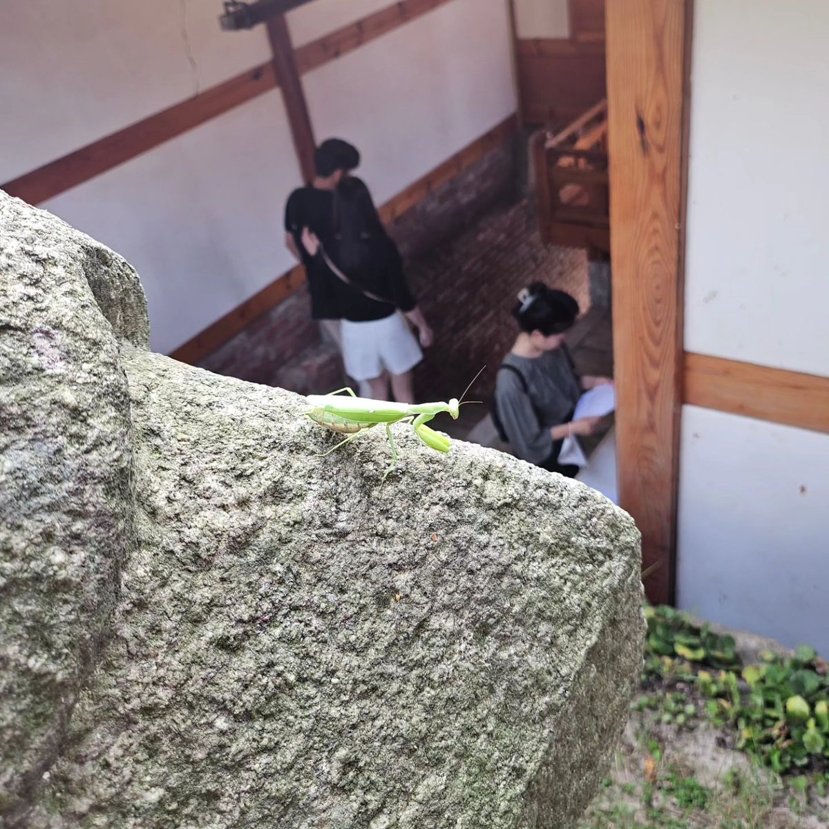 namjomn's tweet photo. https://t.co/3muyAzGsAZ