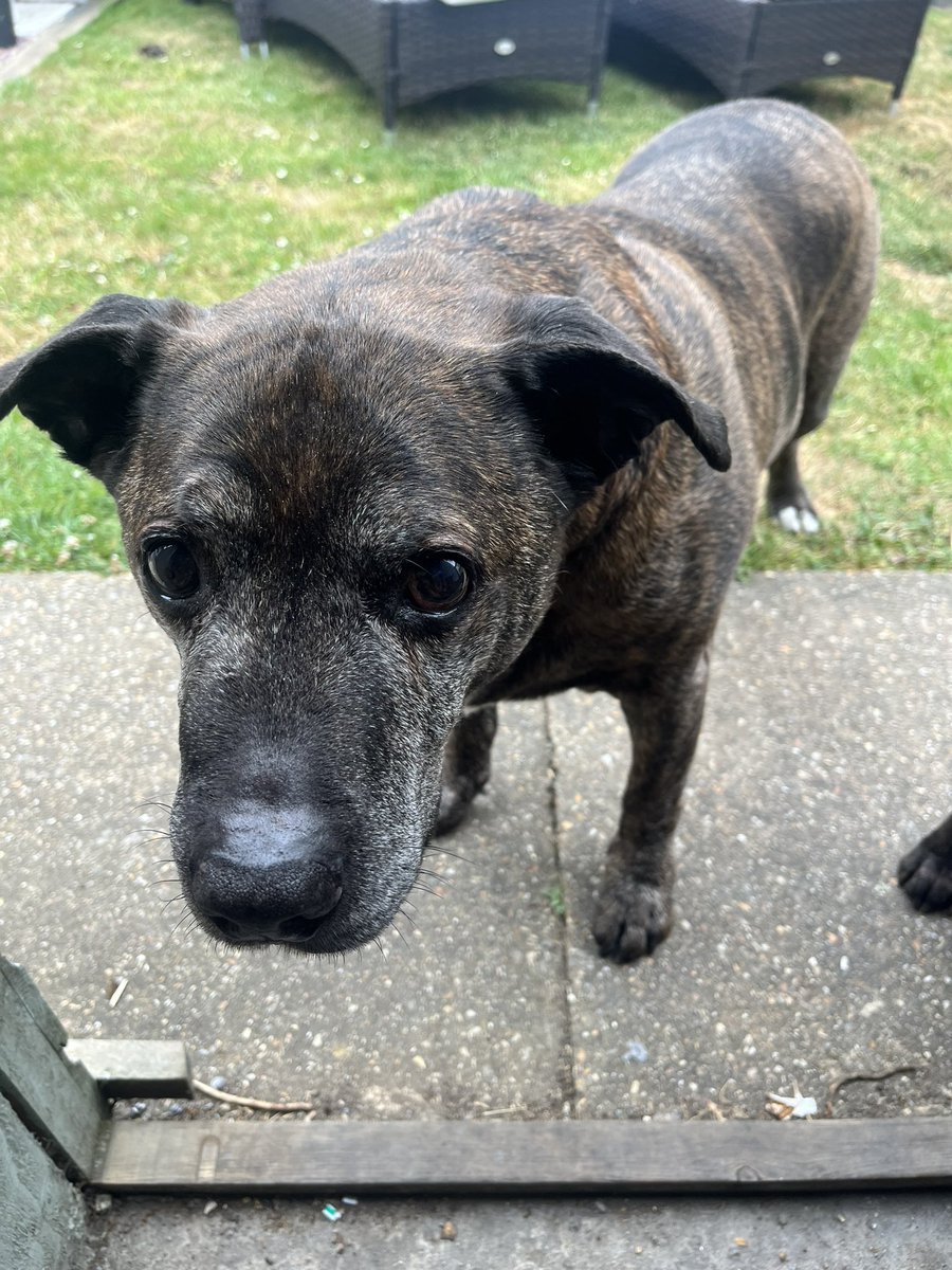 James rpg tweet media