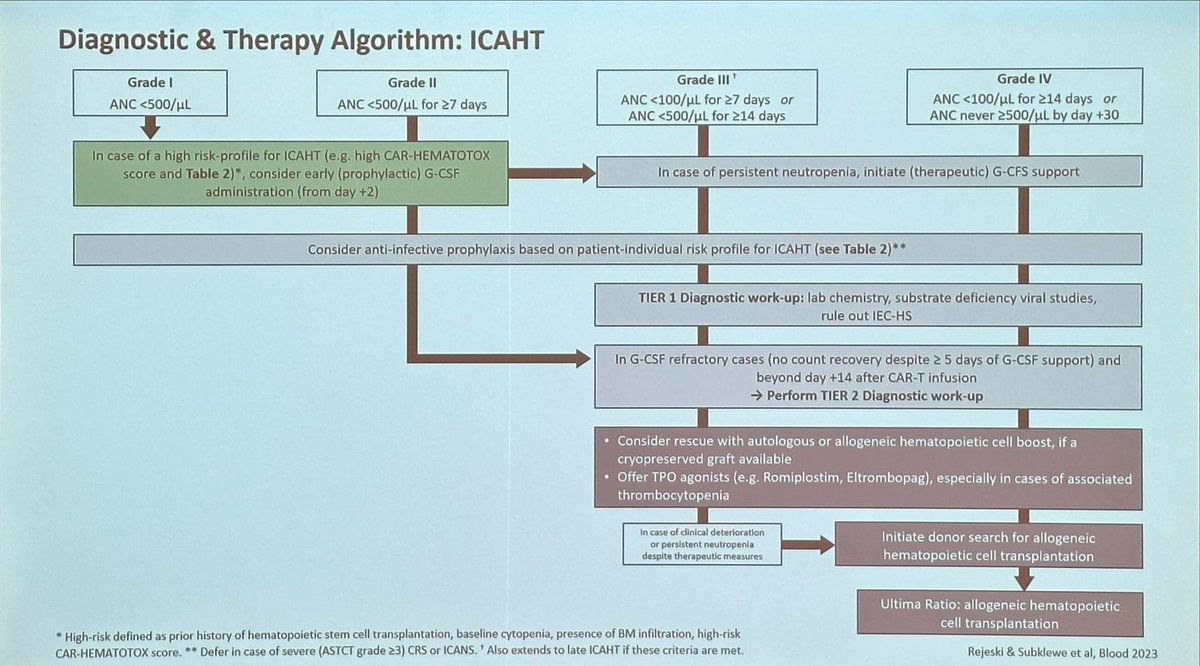 HematoRules's tweet image. @MSubklewe #ITC23 

➡️ CAR-HEMATOTOX … great tool ✅ german-lymphoma-alliance.de/website-scores…
➡️ Antibiotics and #ICATH … interesting relationship
➡️ TPO-RAs in #CART cytopenias… no clear role so far 
➡️ CD34 boost a strategy to learn more about it

@TheEBMT @TheEBMT_CTIWP @TheEBMT_Trainee