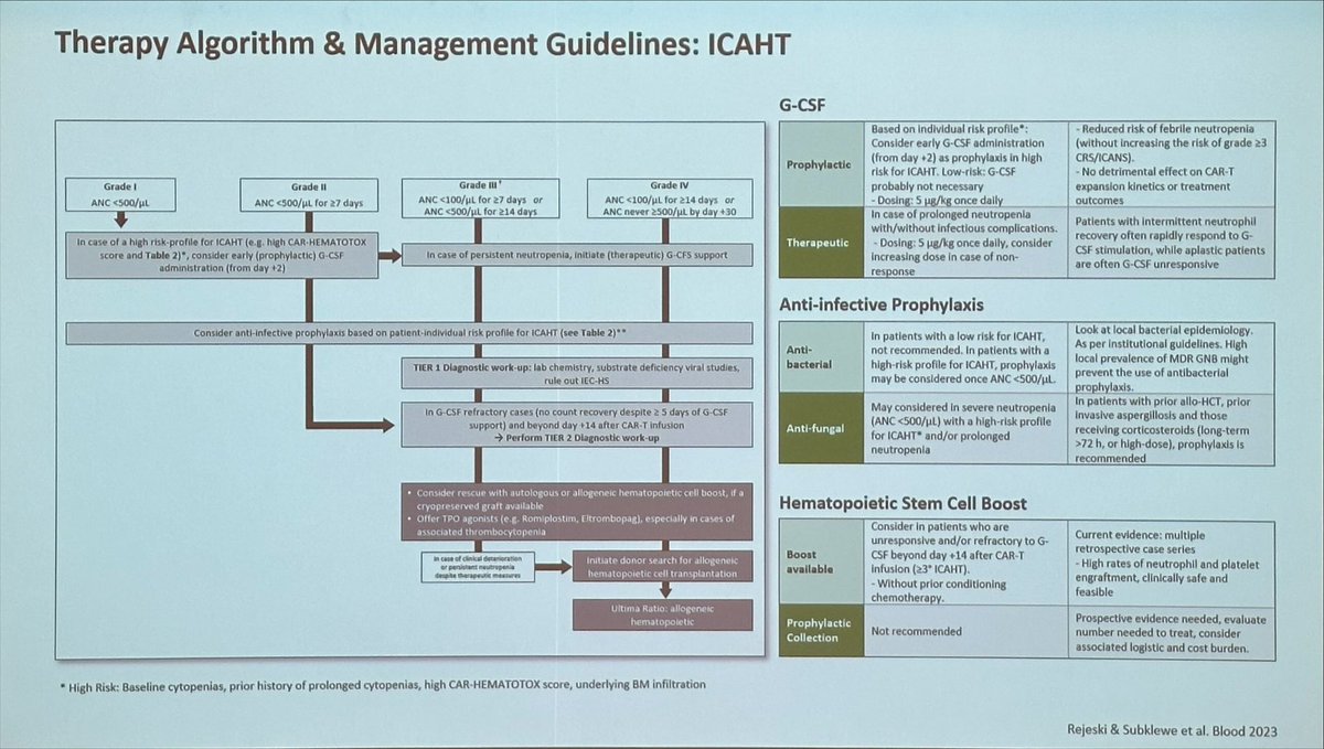HematoRules's tweet image. @MSubklewe #ITC23 

➡️ CAR-HEMATOTOX … great tool ✅ german-lymphoma-alliance.de/website-scores…
➡️ Antibiotics and #ICATH … interesting relationship
➡️ TPO-RAs in #CART cytopenias… no clear role so far 
➡️ CD34 boost a strategy to learn more about it

@TheEBMT @TheEBMT_CTIWP @TheEBMT_Trainee