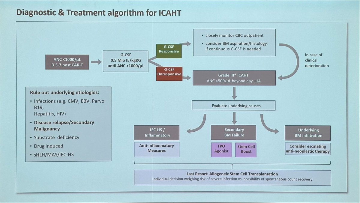 HematoRules's tweet image. @MSubklewe #ITC23 

➡️ CAR-HEMATOTOX … great tool ✅ german-lymphoma-alliance.de/website-scores…
➡️ Antibiotics and #ICATH … interesting relationship
➡️ TPO-RAs in #CART cytopenias… no clear role so far 
➡️ CD34 boost a strategy to learn more about it

@TheEBMT @TheEBMT_CTIWP @TheEBMT_Trainee