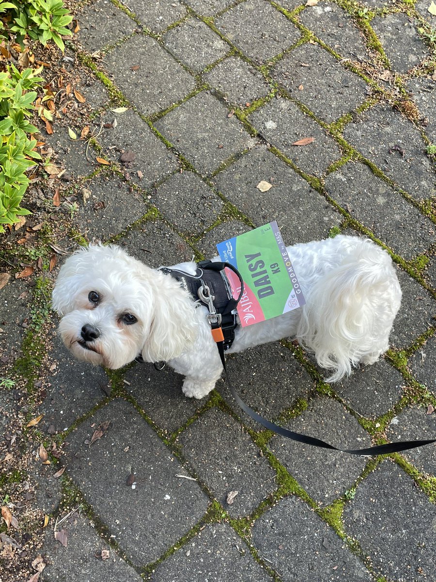 Daisy ready for the 2023 #GreatNorthRun