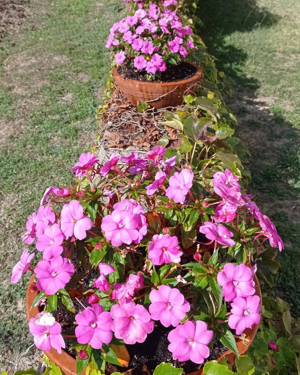 Fernando Ezquerra Lapetra tweet media