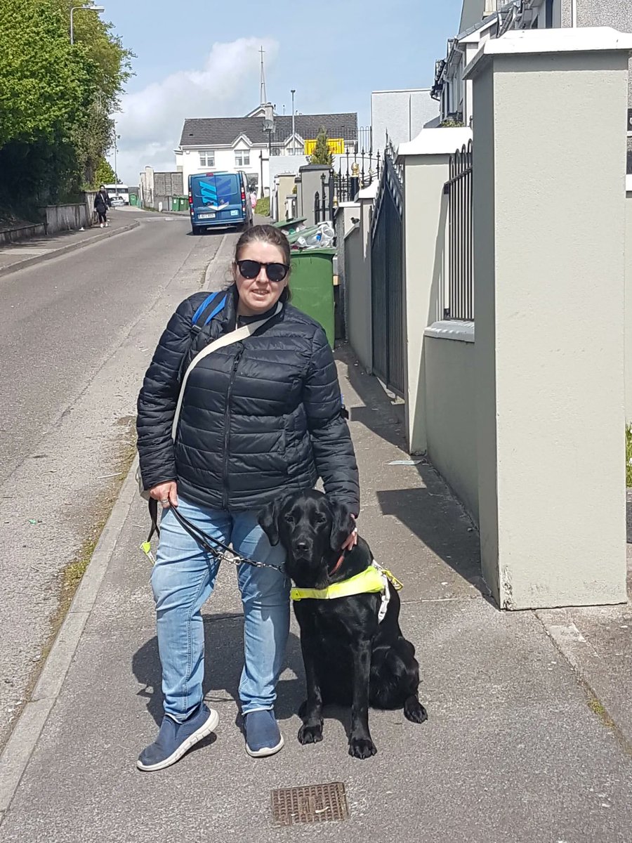 Irish Guide Dogs for the Blind tweet media