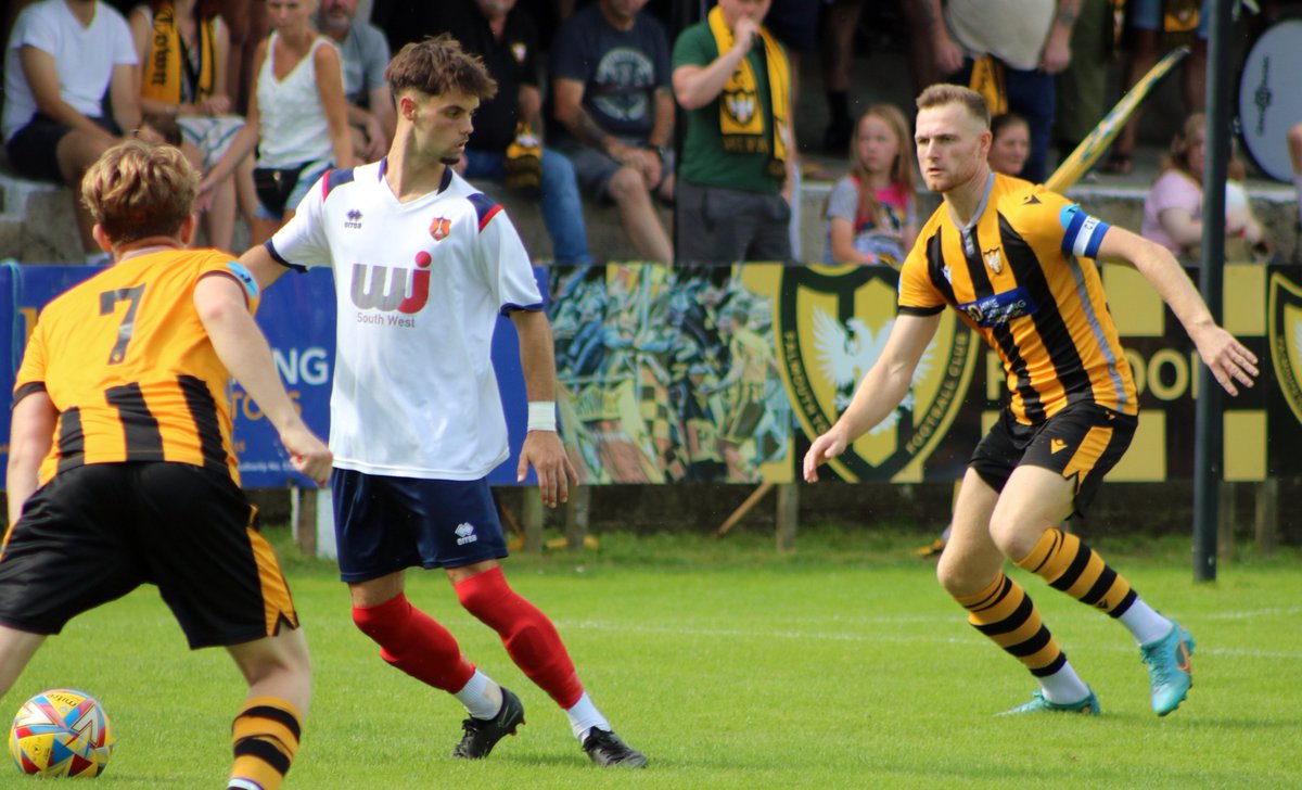 Wellington AFC tweet media