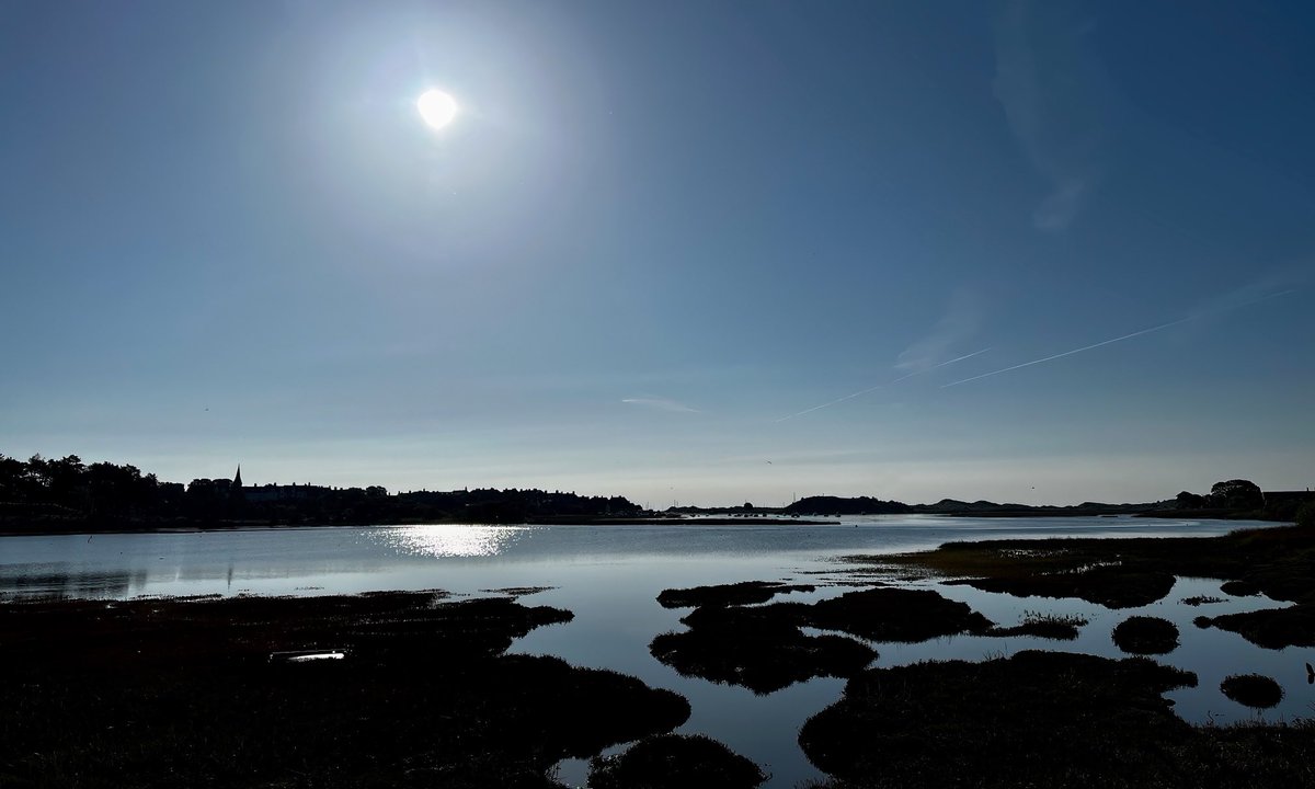 TomCadwallender's tweet image. ‘Gentle on my Mind’ Aln Estuary, Northumberland #mypatch