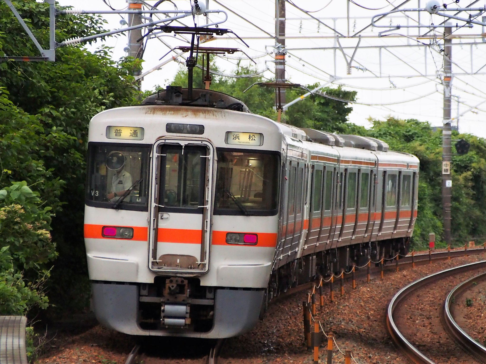 松と鶴　NＴ-132 松と鶴 NT-132 松と鶴NT-132