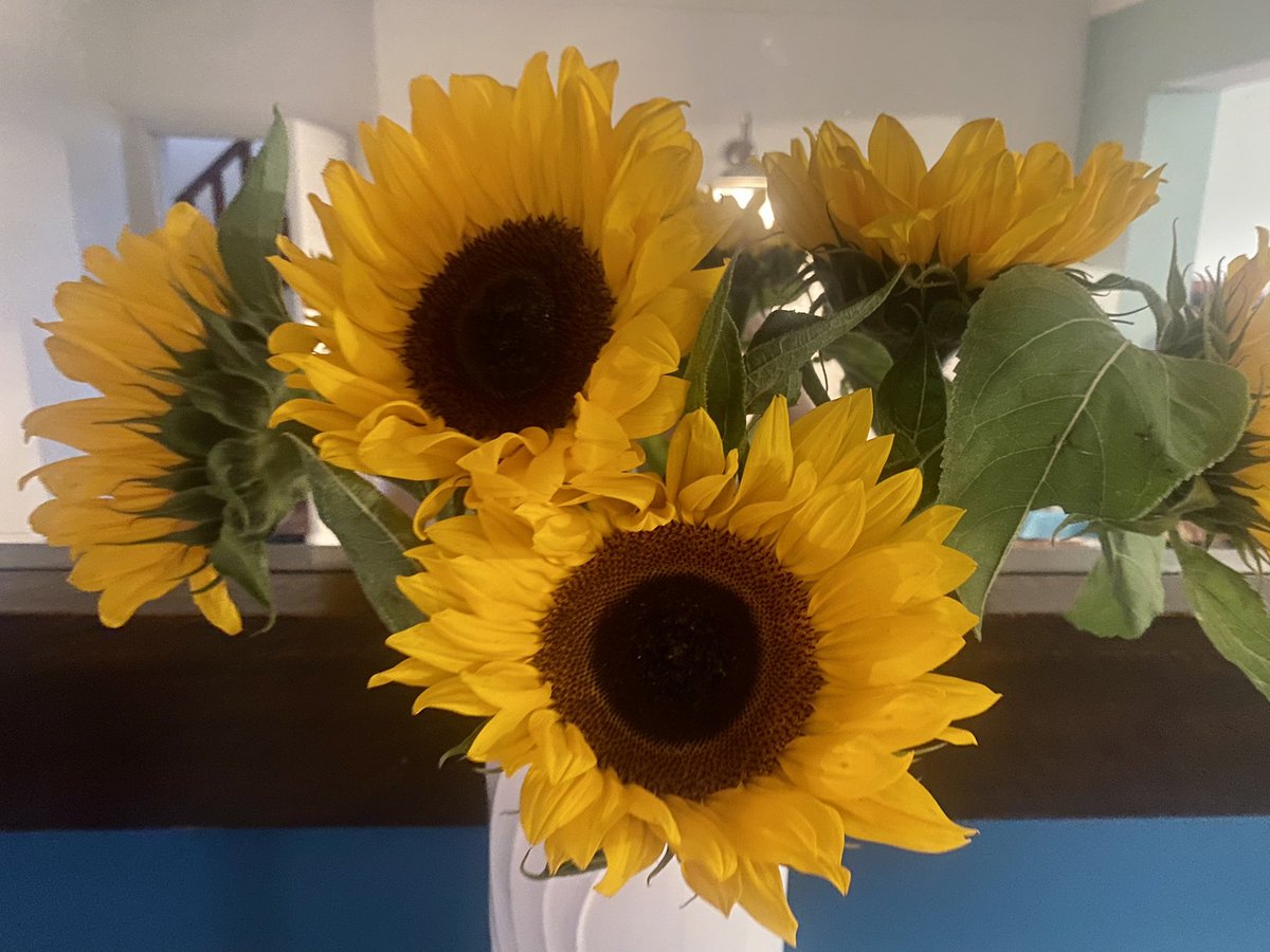 Thank you @DittonsLibrary for a fantastic event yesterday. Huge thanks to Helen for these beautiful sunflowers too! The Festival continues today, so do pop in #graffeg #frogsbog #libraries #freekidsevent #thamesditton #authorcommunity