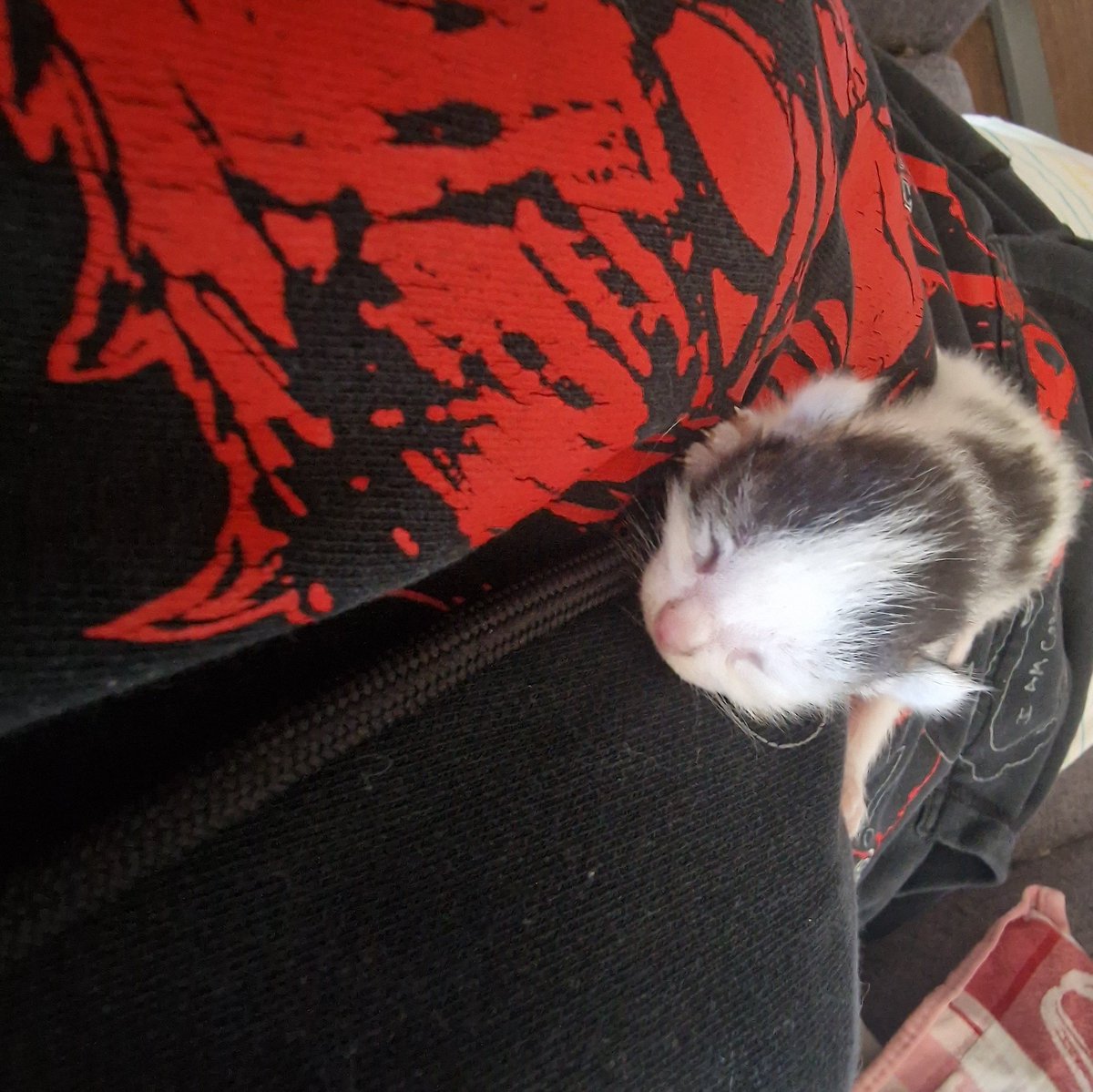 VC_ //🌱/🌧️/🔆/🍀// tweet media