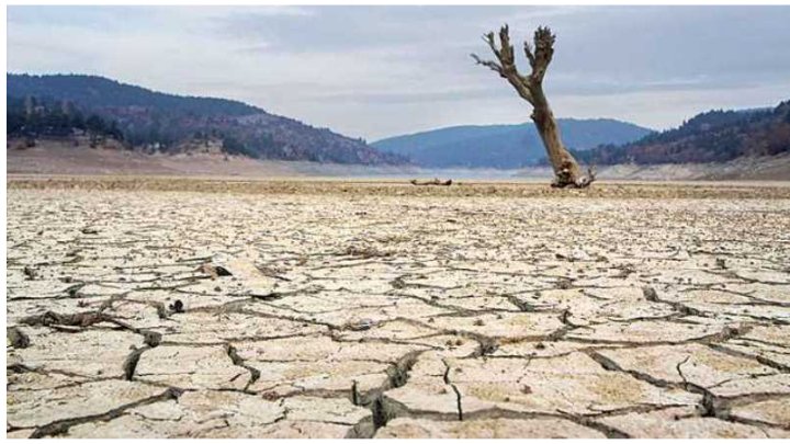 VAZ  GEÇTİK  
           CENNET  YOLUNDAN .

Ö L S E K
            YUNMAK  İÇİN
                      SUYUMUZ  YOK .

#DoğaKatliamı
#OrmanYangınları
#İklimDeğişikliği
#Barajlar
#Göller
#Akarsular
#KITLIK