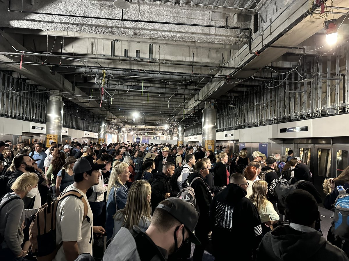 Liz Wentland tweet media