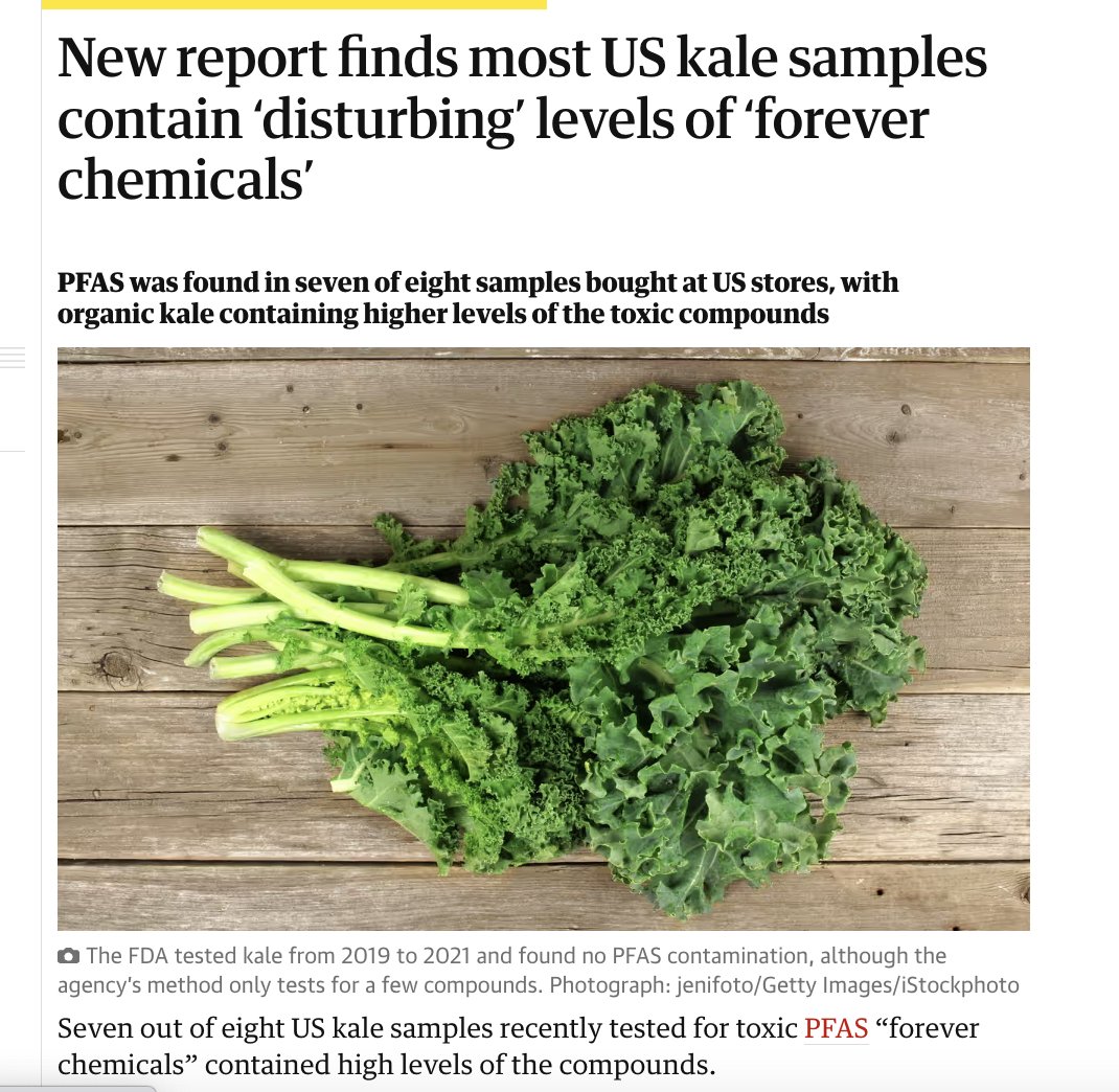 kale and cruciferous vegetables do a great job of sucking up minerals and toxins from the environment...

and unfortunately today that means loads of heavy metals, pesticides and endocrine disruptors

avoid