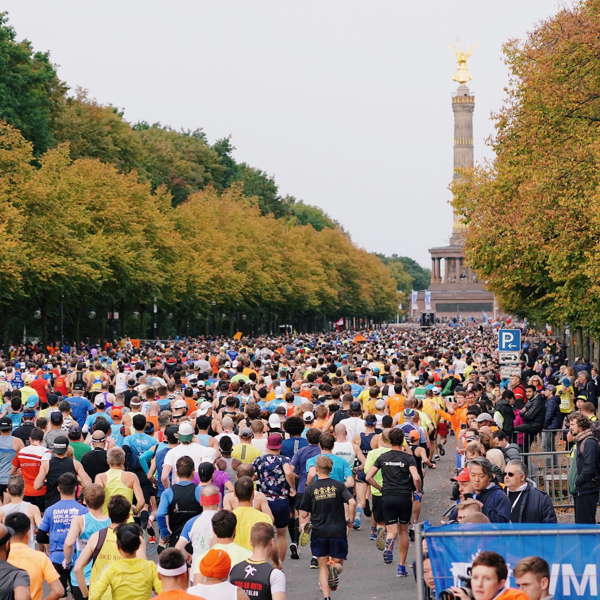 🚨 Attention Berlin runners, it is now officially #tapertime.🚨

2️⃣ weeks to go! 😱 😱 😱