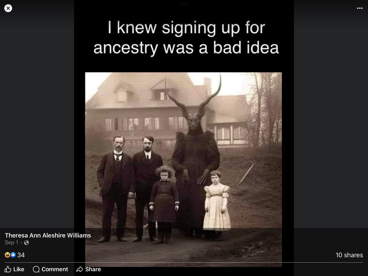 Our Fun Tree tweet media