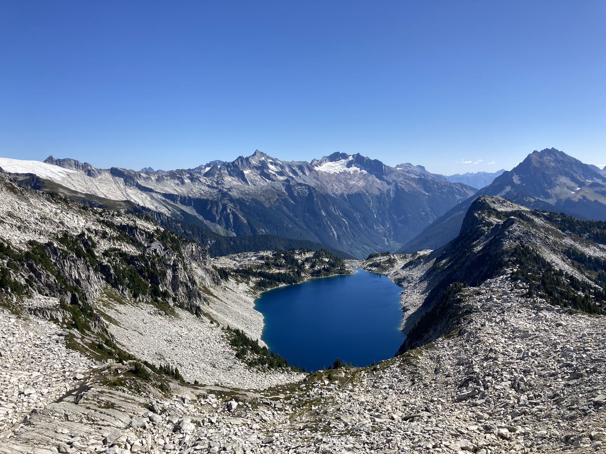 NFT_Addict tweet media