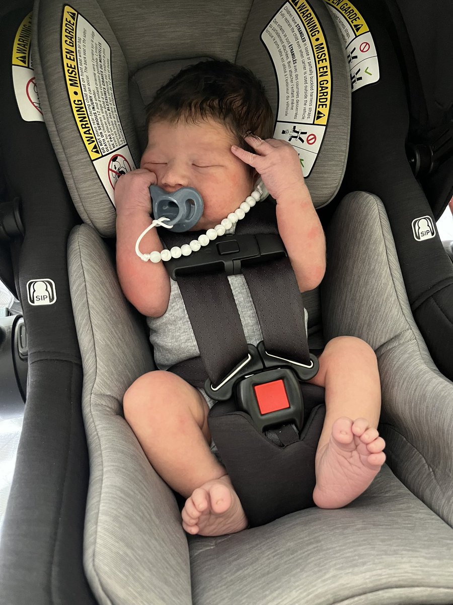 erinrosemaryy's tweet photo. my sweet boy Luca 🩵 https://t.co/nuFXqe2iIc