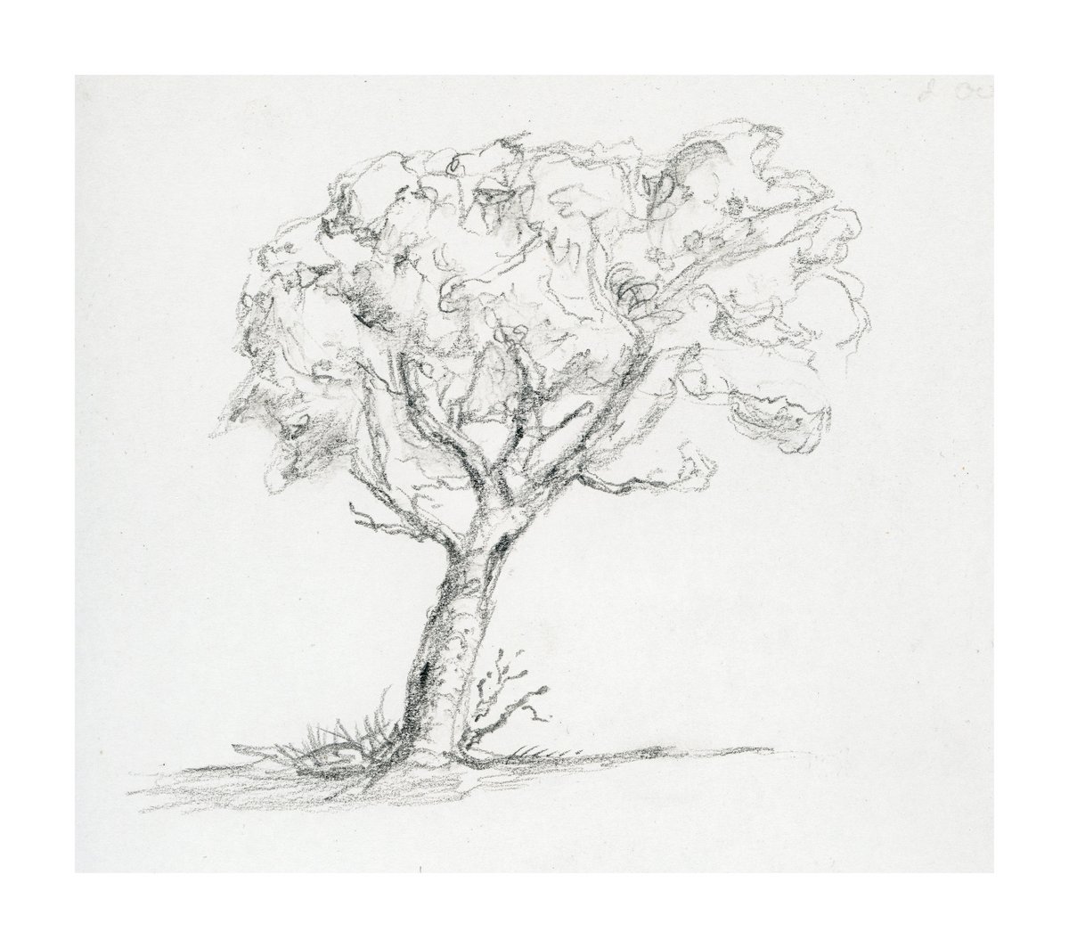 markwadd's tweet photo. I have found drawing trees to be a wonderfully meditative experience. Trees are like people, all highly individual. Being absorbed in the task of looking at them and really seeing is an exercise in mindfulness. #drawingtrees #WorldSuicidePreventionDay https://t.co/0hFexs5pSX