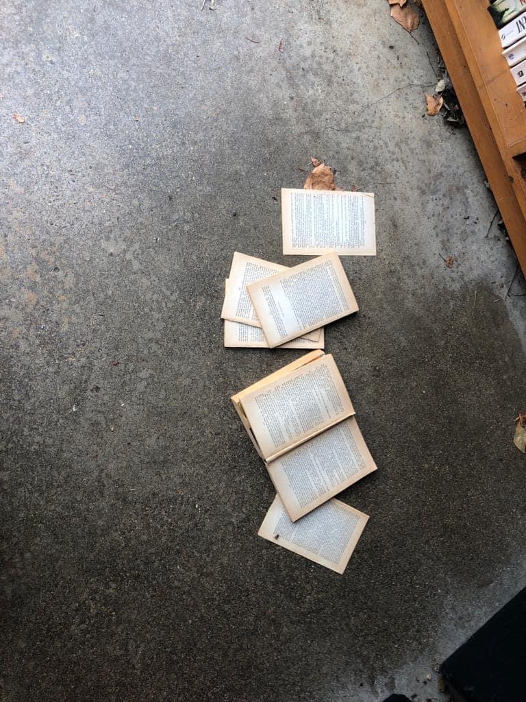 KingsSuttonNW's tweet photo. ‼️ Vandalism at the Village Bus stop Library ‼️

Someone/or some people have decided to disrespect our community by causing damage to books at our bus stop library.

It’s time we stand up as a community and stomp out this ridiculous behaviour.

@NorthantsPolice @BrackleyNptSgt https://t.co/A2GyC0TOKF