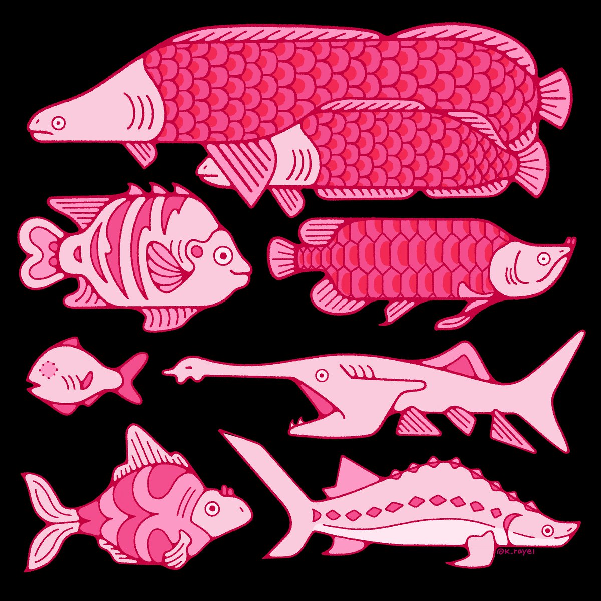 k_rayel's tweet photo. the aquarium trio is complete 🐠🐟 https://t.co/JlilWGaHKG