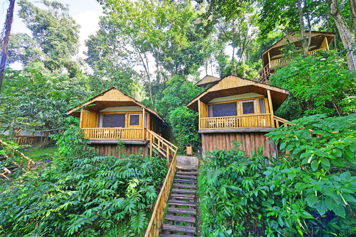 Wild Frontiers UG tweet media