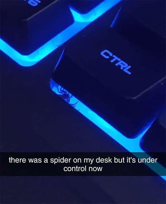 Do you want a bad joke?