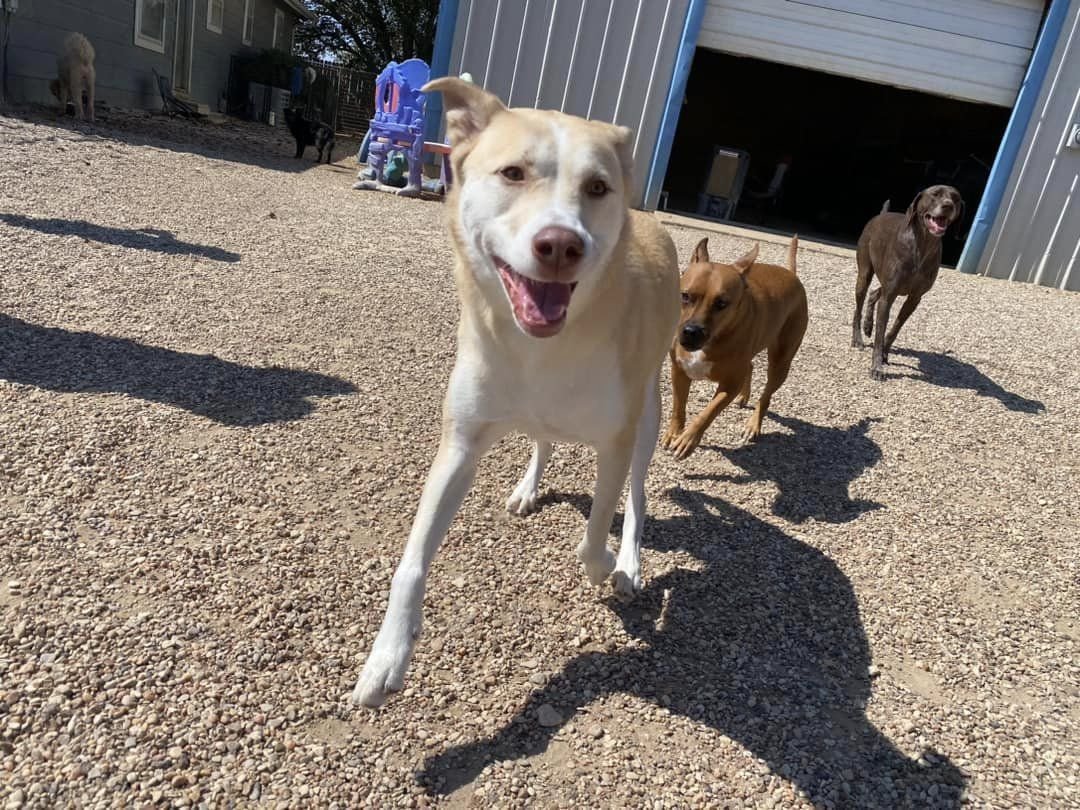 ❤️💜💙Jaxkol 🖤🤍💜 Risky Writes tweet media