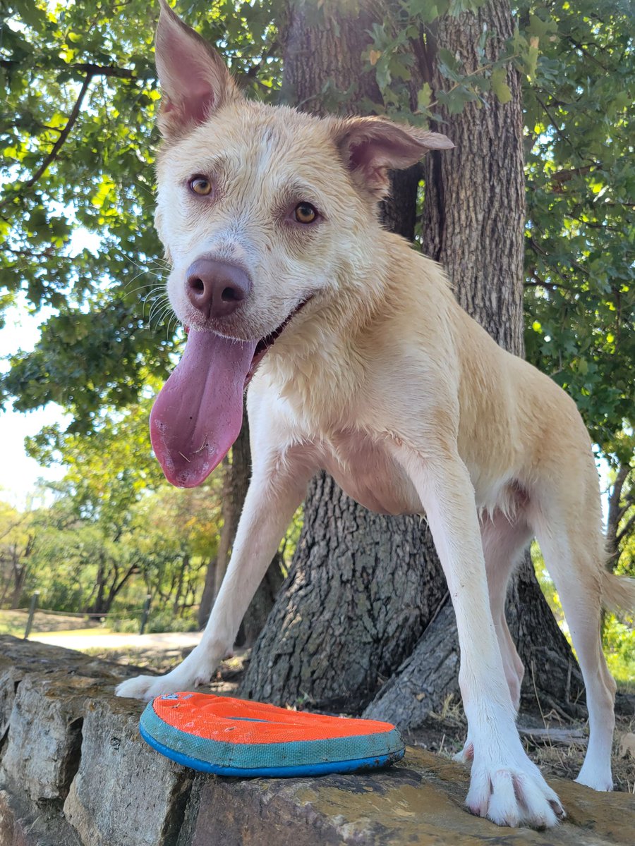 ❤️💜💙Jaxkol 🖤🤍💜 Risky Writes tweet media