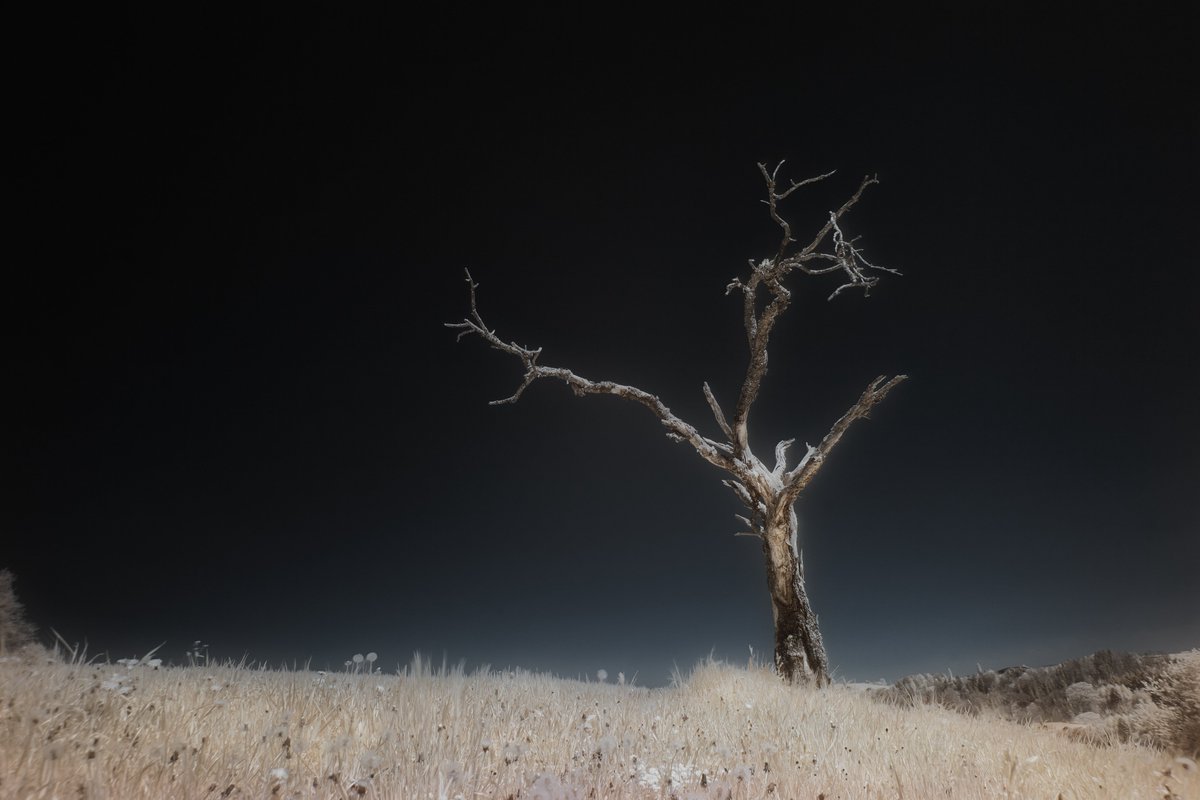 J0N45__'s tweet image. I usually say "Welcome to my Otherworld" or "gm from my Otherworld"...

... but where is that??

Thanks to @foundation, there is now a new World called 'My Otherworld', that's where all my 1/1s available are 🔥

#LinkInThread